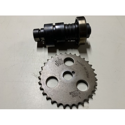 KAWASAKI KLF 300 CAM SHAFT & CHAIN GEAR 2X4 4X4 HAS SOME SMALL MARKS 